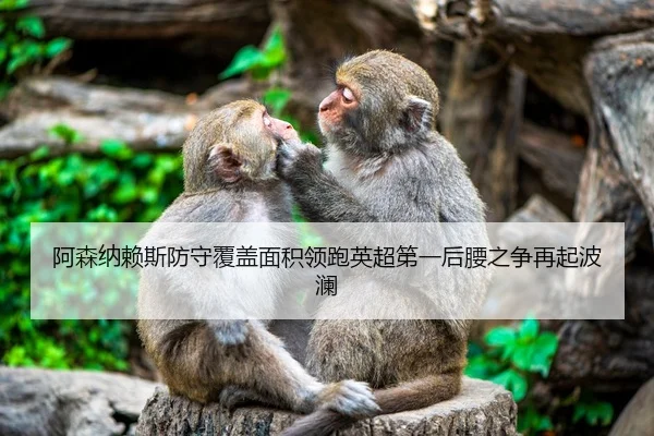 阿森纳赖斯防守覆盖面积领跑英超第一后腰之争再起波澜
