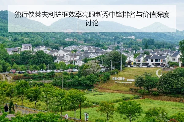 du-xing-xia-lai-fu-li-hu-kuang-xiao-lv-liang-yan-xin-xiu-zhong-feng-pai-ming-yu-jia-zhi-shen-du-tao-lun-2-427.jpg